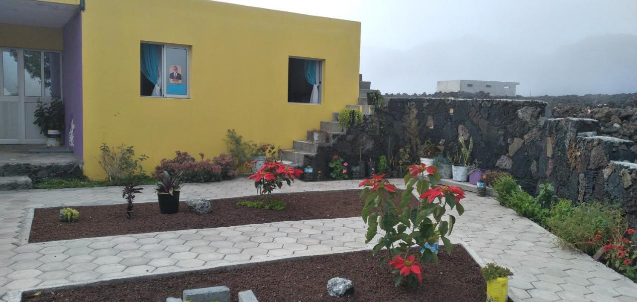 Portela Ciza E Rose Bed & Breakfast エクステリア 写真