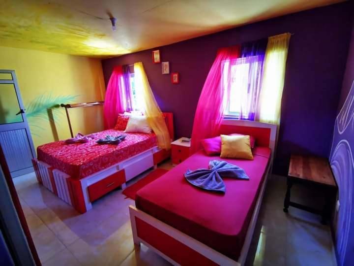 Portela Ciza E Rose Bed & Breakfast エクステリア 写真